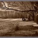 Martha Wells Photo 23