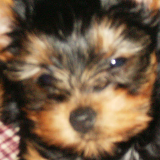 Rex Weller Photo 11