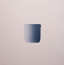 Jane Han Photo 32