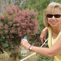 Diane Matlock Photo 13