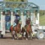 Greg Rodriguez Photo 9
