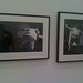 Harris Lieberman Photo 5