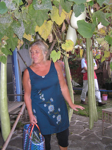 Cheryl Noble Photo 23