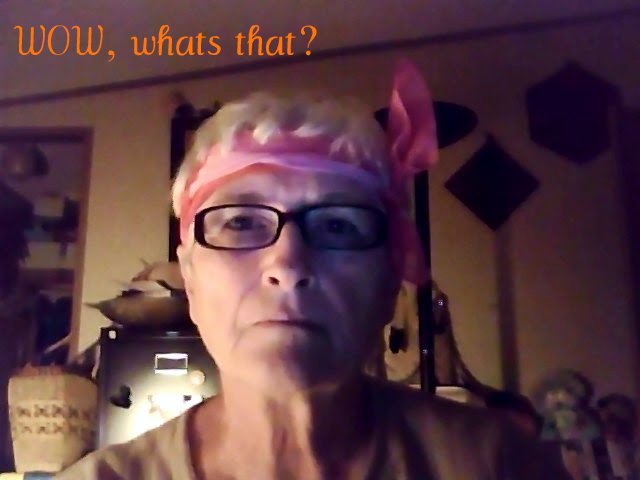Linda Cassidy Photo 7