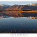 Dawn Morrison Photo 10