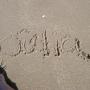 Julia Reynolds Photo 11