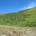 Erin Fitzgerald Photo 6