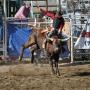 Mitchell Thomas Photo 9