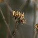 Sharon Stark Photo 28
