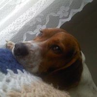 Liz Spaulding Photo 9