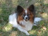 Beth Moss Photo 33