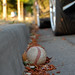Jeff Heinz Photo 31