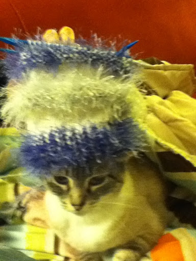 Eleanor Bergquist Photo 5