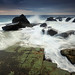 Ray Forrester Photo 24
