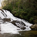 Cathy Cathey Photo 14