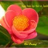 Phu Ho Photo 19