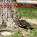 Marilyn Stump Photo 13