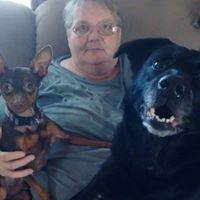 Kathy Mccauley Photo 35