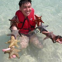 Robin Cheng Photo 16