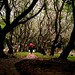 Dick Leong Photo 8