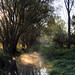 Dawn Brook Photo 21