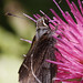 Mark Rothrock Photo 16