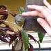 Michelle Lesser Photo 14