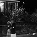 William Wolfe Photo 25