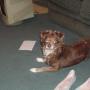 Elizabeth Dotson Photo 20