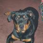 John Vanderpool Photo 22