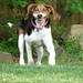 Daisy Walker Photo 11