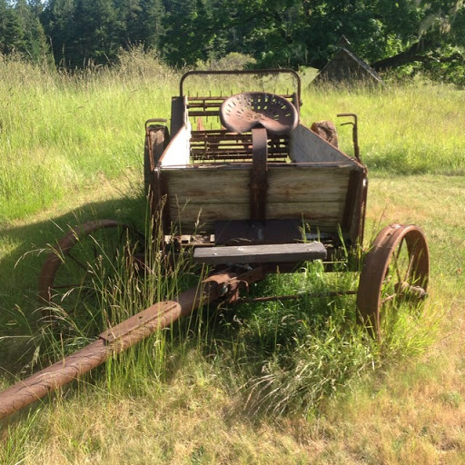 Sharon Rasmussen Photo 14