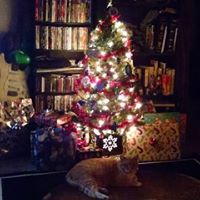 Janet Dunham Photo 19