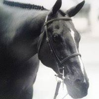 Traci Fritz Photo 27
