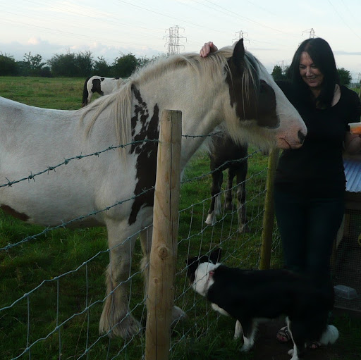 Sandra Davidson Photo 11