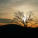 Christine Snelson Photo 6