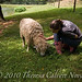 Theresa Calvert Photo 15