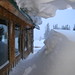 Janet Skinner Photo 20