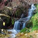 Larry Workman Photo 6