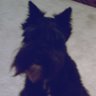 Janice Mcdaniel Photo 20