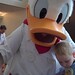 Donald Parker Photo 21