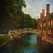 William Etheridge Photo 30