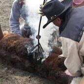 Gary Biggers Photo 13