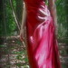 Christine Bell Photo 24
