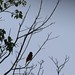 Debra Branch Photo 19