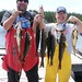 Steve Stringer Photo 20