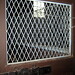 Elizabeth Stabler Photo 13