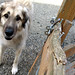 Conrad Sweet Photo 9