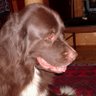 Scott Mathes Photo 24
