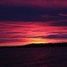 Laura Magee Photo 15